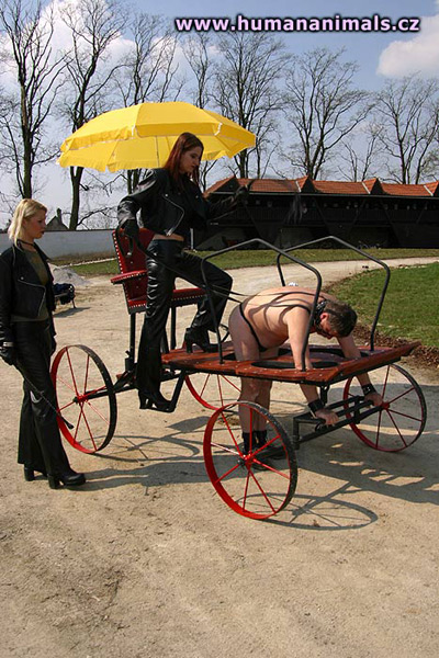 Human transport to service the pampered Ladies at OWK